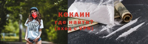 таблы Гусев