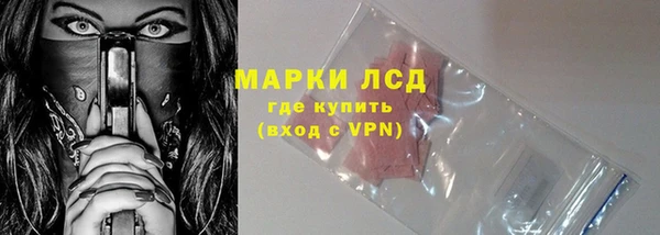 таблы Гусев