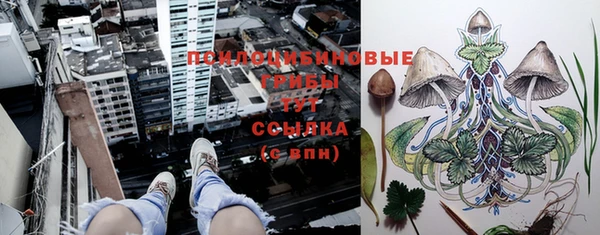 MESCALINE Гусь-Хрустальный