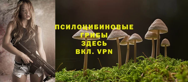 прущий лед Гусиноозёрск